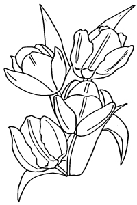 tulips with leafs coloring pages